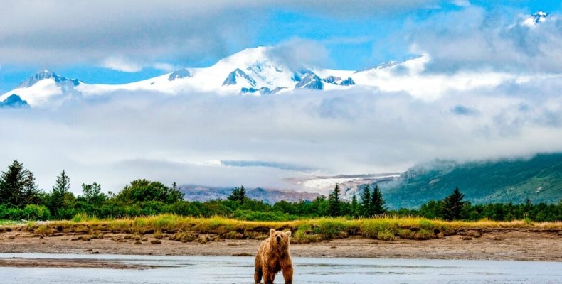 cc_hallo_bay_grizzly_mountains_alamy_rm_3840_16x9-2